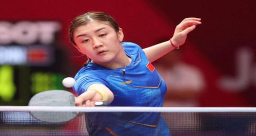 来重返季后 来重返季后